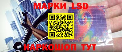 стафф Камышлов