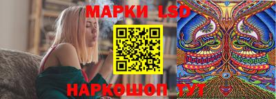 стафф Камышлов