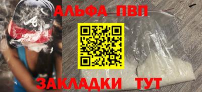 стафф Камышлов