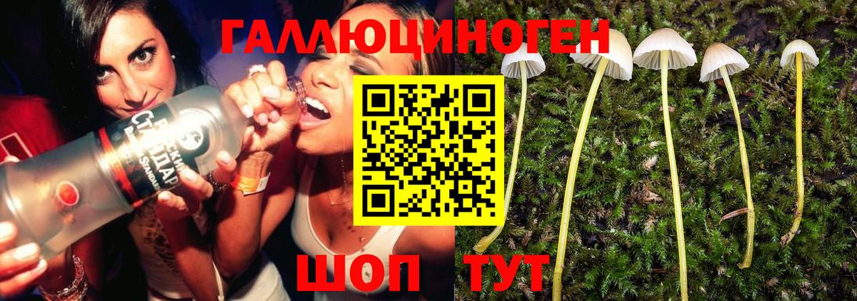 Галлюциногенные грибы мицелий Кыштым